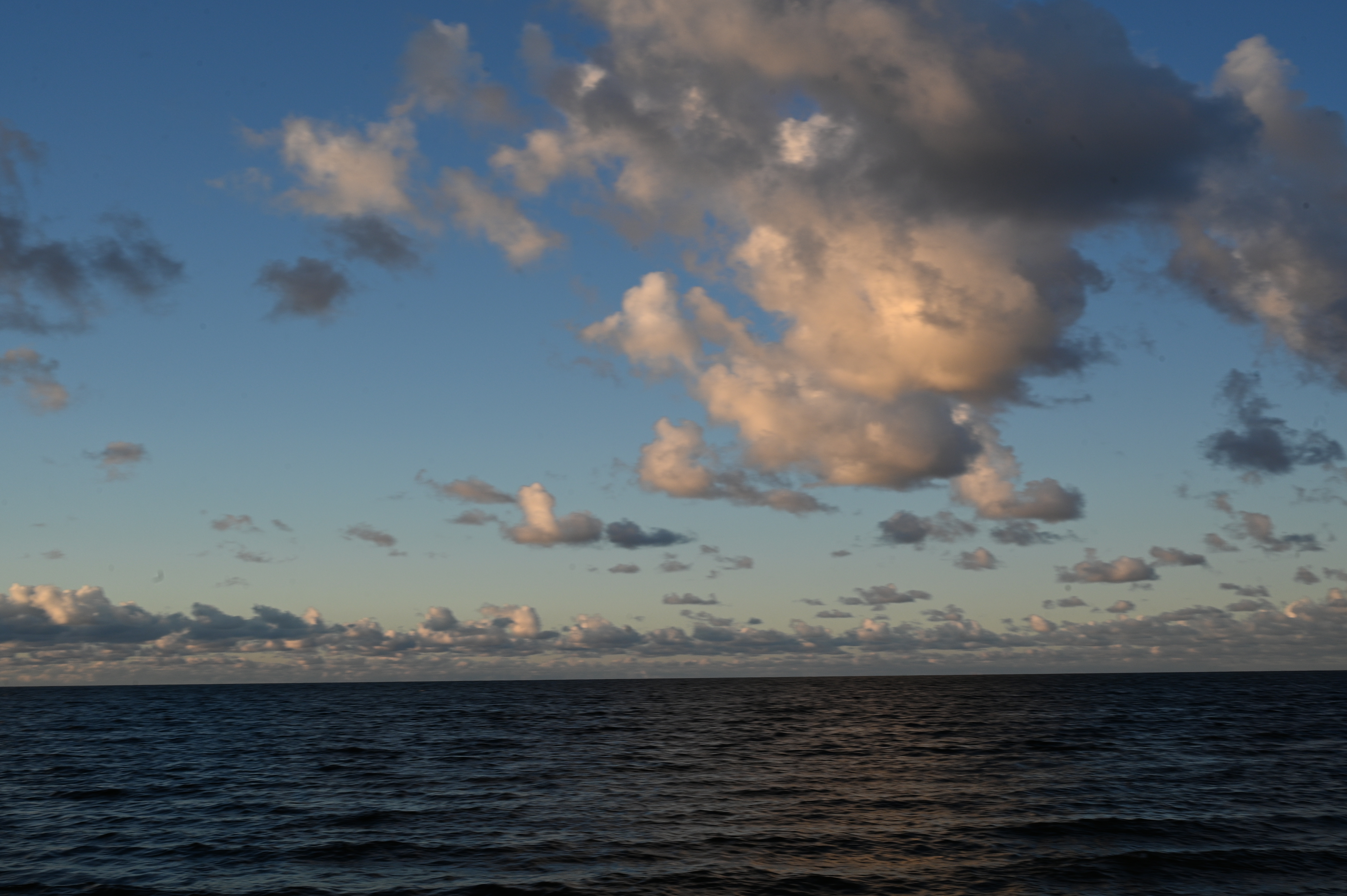 2025/10/18 - walk/DSC_0274.JPG